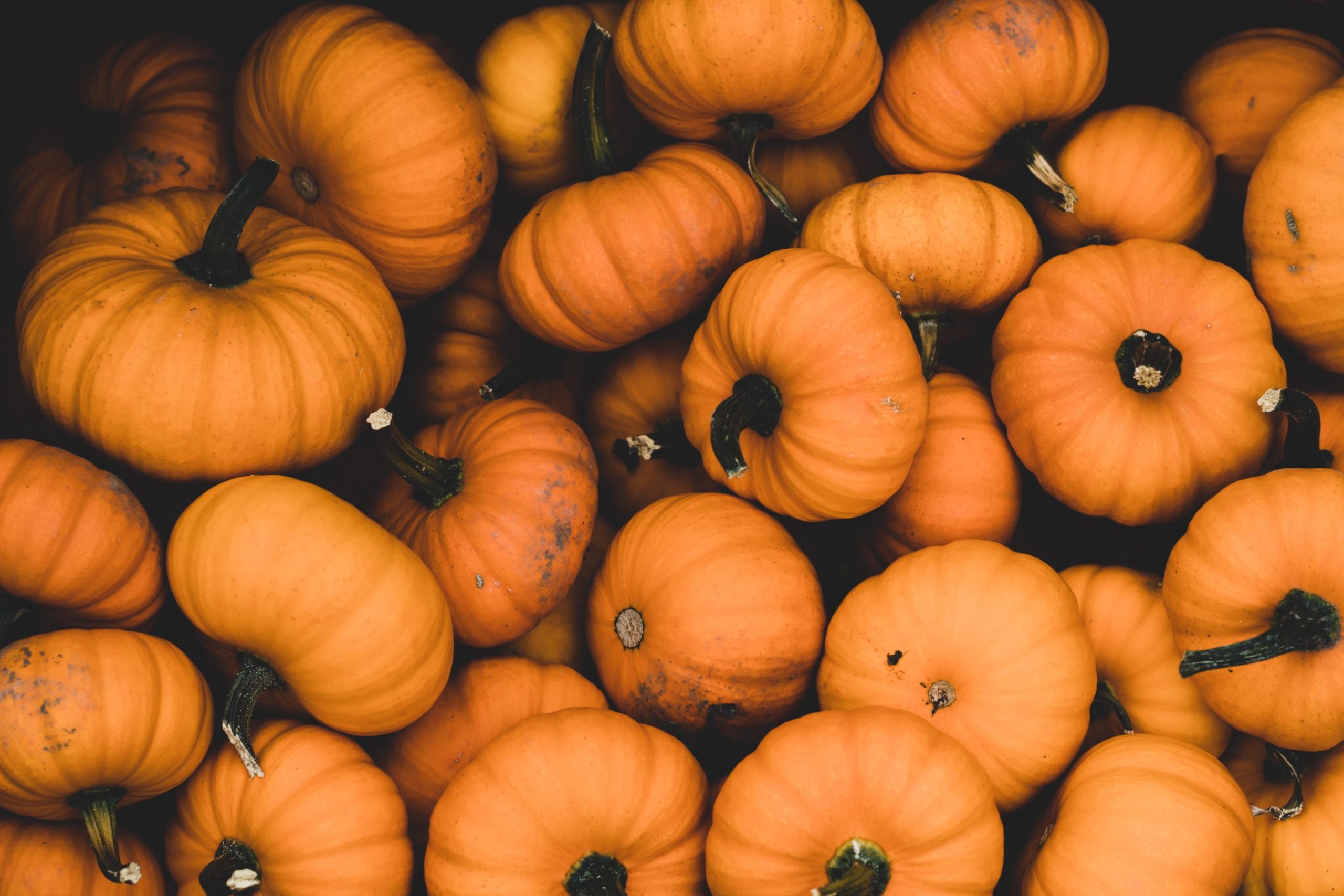 Pumpkins