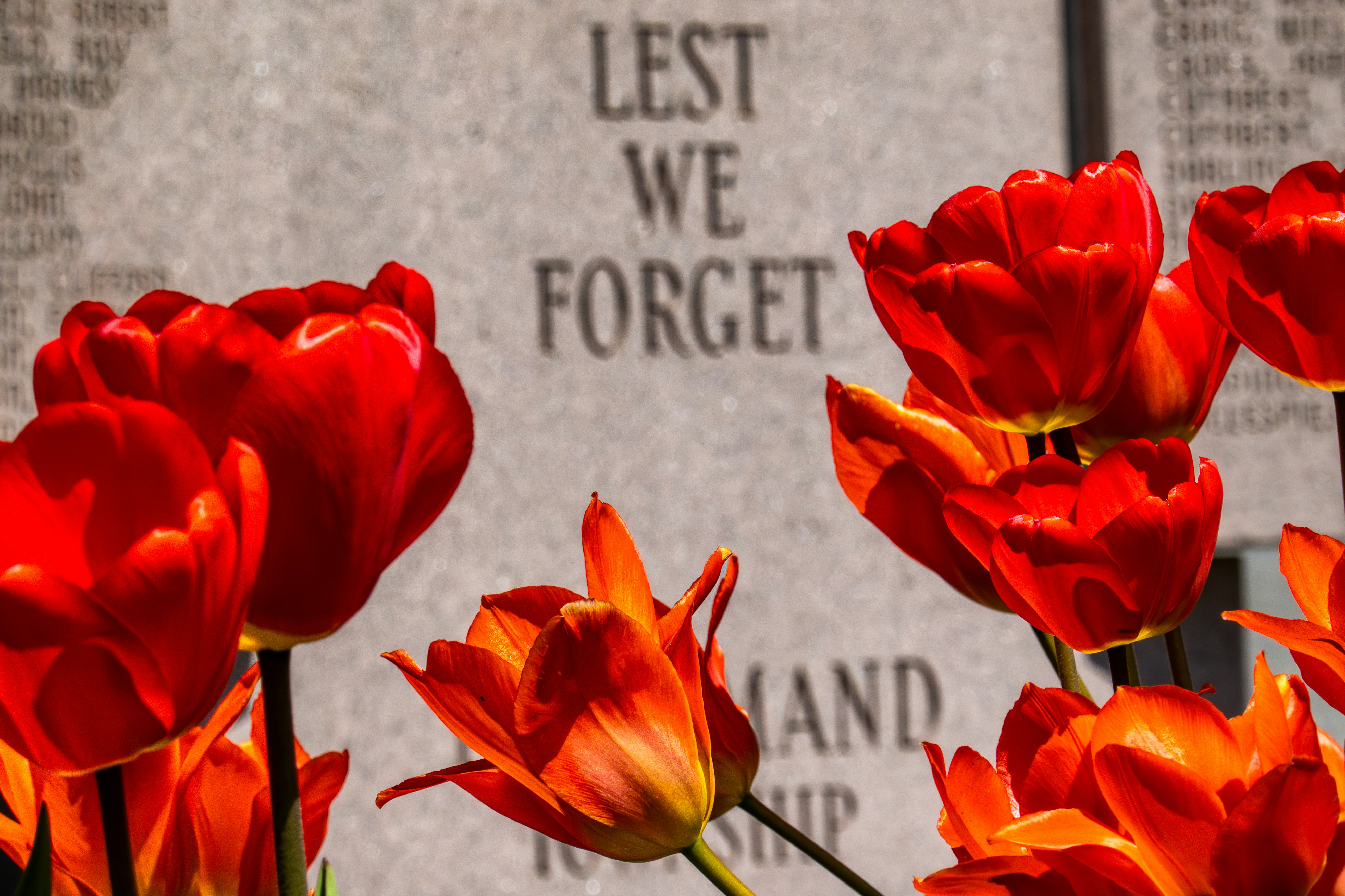 Memorial Day