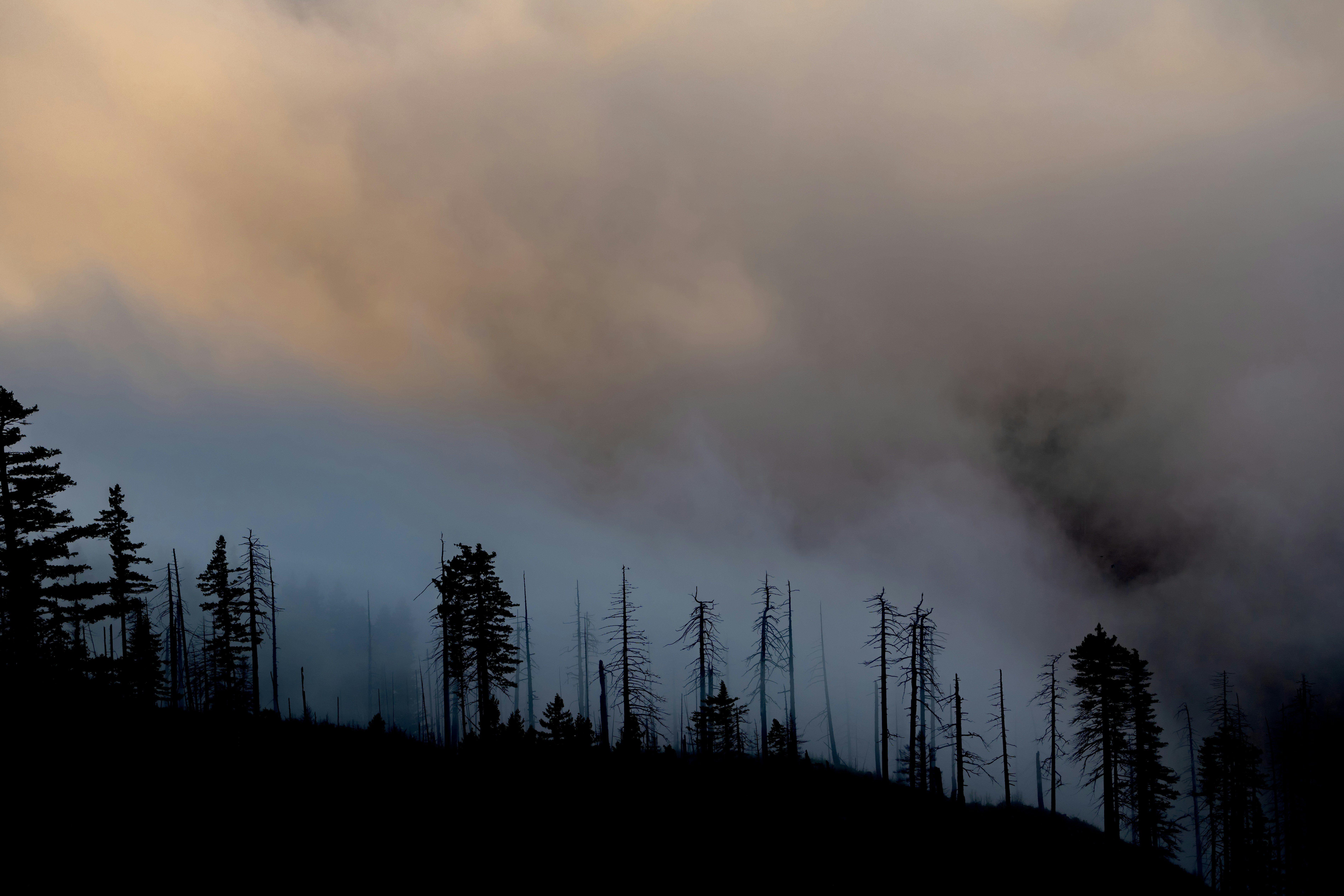 Wildfire smoke